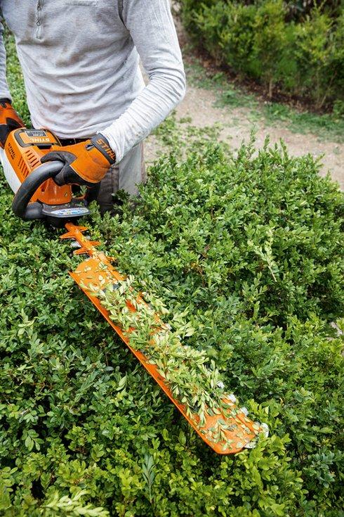 Hedge trimmer for hire Inverness