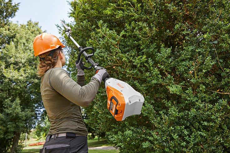 Long reach hedge trimmer for hire Inverness